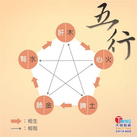 五行健康躁|中醫知識 